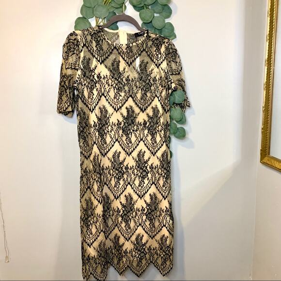 CAARA Scalloped Lace Nude Black Shift Cocktail Dress Small - Picture 4 of 11
